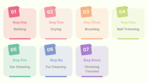 How Often Should You Bathe Your Dog? 4 How Often Should a dog Bathe