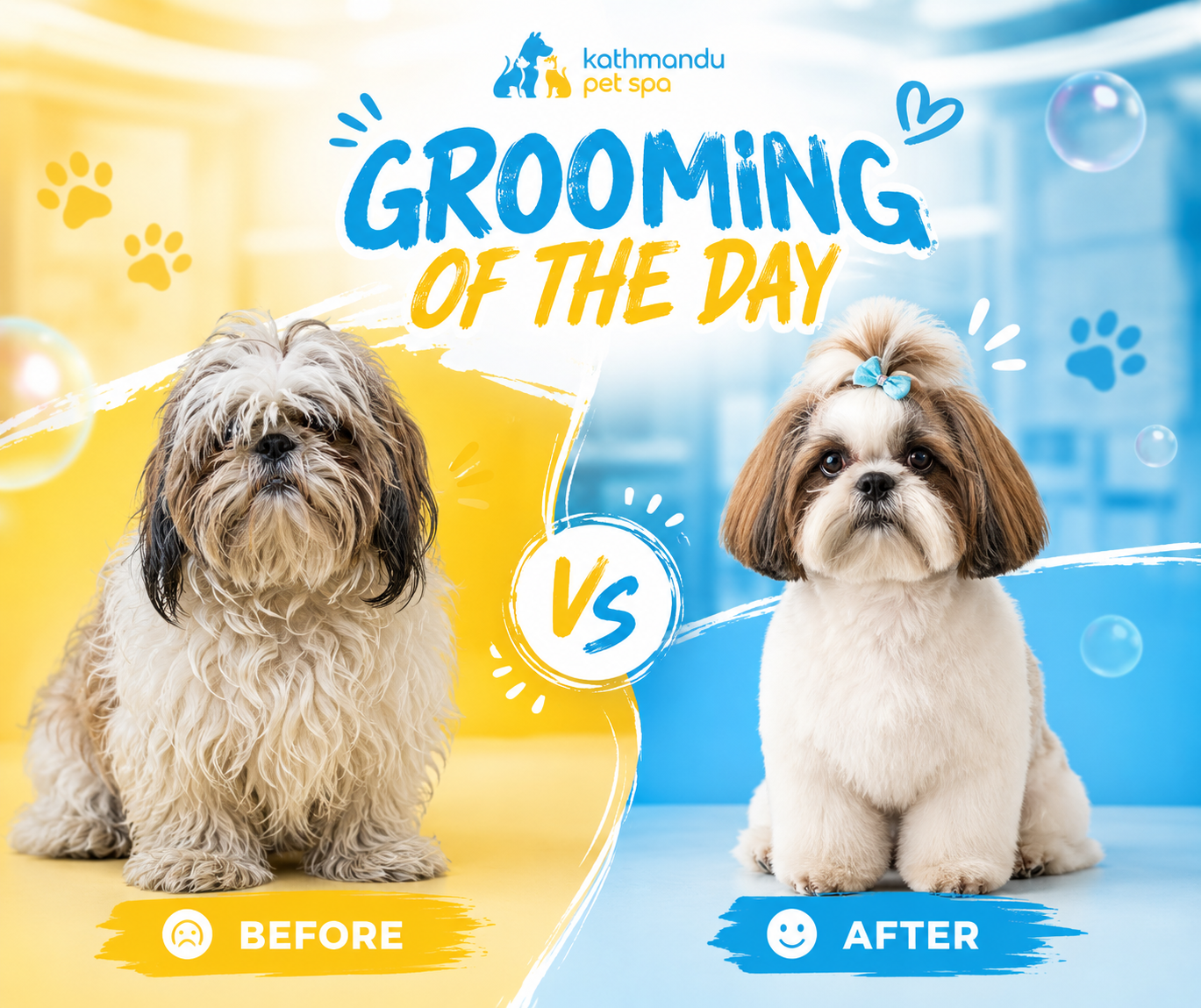 Home 3 dog grooming kathmandu