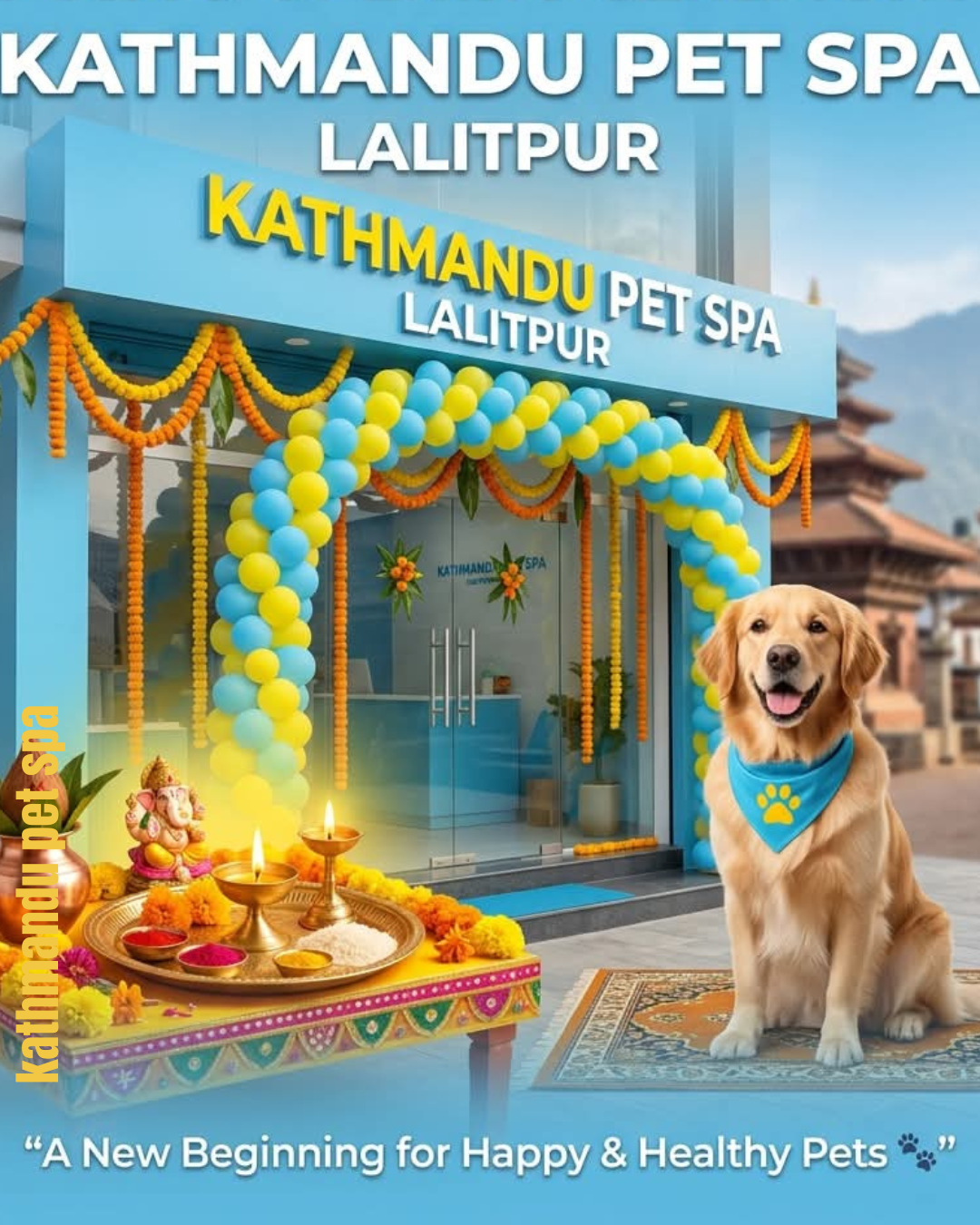 Home 1 kathmandu pet spa at lalitpur locatins