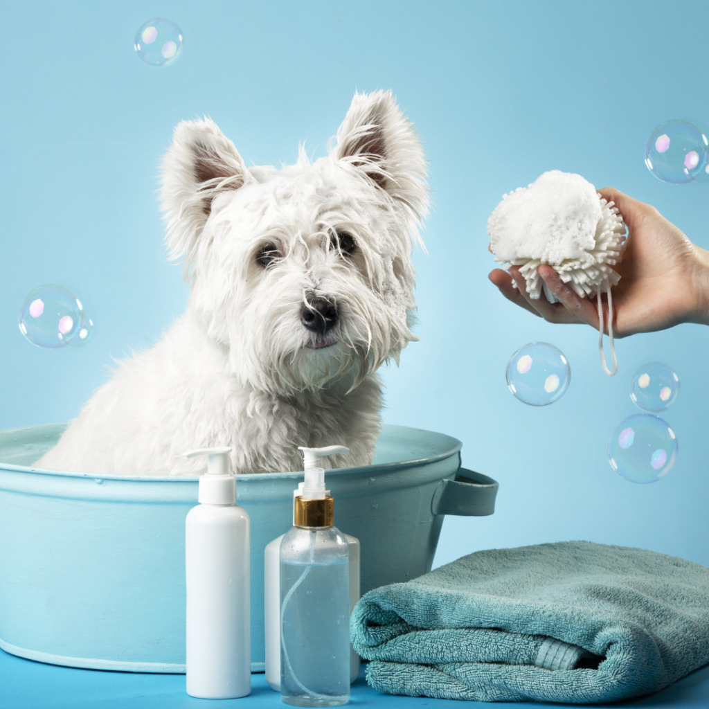 dog bath